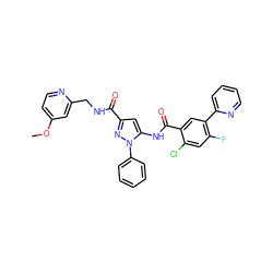 COc1ccnc(CNC(=O)c2cc(NC(=O)c3cc(-c4ccccn4)c(F)cc3Cl)n(-c3ccccc3)n2)c1 ZINC001772592723