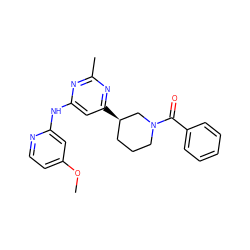 COc1ccnc(Nc2cc([C@@H]3CCCN(C(=O)c4ccccc4)C3)nc(C)n2)c1 ZINC000299868957