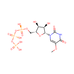 COc1cn([C@@H]2O[C@H](CO[P@@](=O)(O)O[P@@](=O)(O)OP(=O)(O)O)[C@@H](O)[C@H]2O)c(=O)[nH]c1=O ZINC000049766520