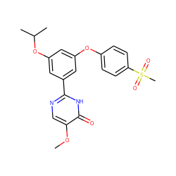 COc1cnc(-c2cc(Oc3ccc(S(C)(=O)=O)cc3)cc(OC(C)C)c2)[nH]c1=O ZINC000096273776