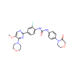 COc1cnc(-c2ccc(NC(=O)Nc3ccc(N4CCOCC4=O)cc3)c(F)c2)nc1N1CCOCC1 ZINC000118279615