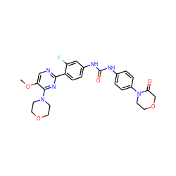 COc1cnc(-c2ccc(NC(=O)Nc3ccc(N4CCOCC4=O)cc3)cc2F)nc1N1CCOCC1 ZINC000118304879