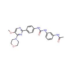 COc1cnc(-c2ccc(NC(=O)Nc3cccc(NC(C)=O)c3)cc2)nc1N1CCOCC1 ZINC000118174979