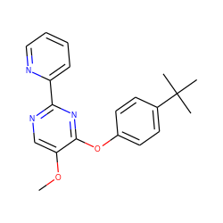 COc1cnc(-c2ccccn2)nc1Oc1ccc(C(C)(C)C)cc1 ZINC000003128553