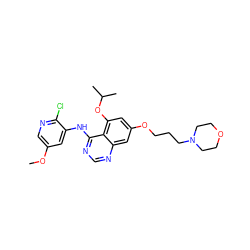 COc1cnc(Cl)c(Nc2ncnc3cc(OCCCN4CCOCC4)cc(OC(C)C)c23)c1 ZINC000028530111