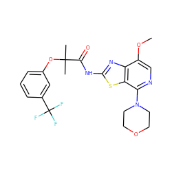 COc1cnc(N2CCOCC2)c2sc(NC(=O)C(C)(C)Oc3cccc(C(F)(F)F)c3)nc12 ZINC001772592273