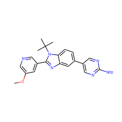 COc1cncc(-c2nc3cc(-c4cnc(N)nc4)ccc3n2C(C)(C)C)c1 ZINC000169254942