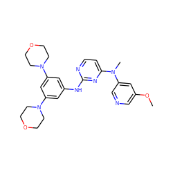 COc1cncc(N(C)c2ccnc(Nc3cc(N4CCOCC4)cc(N4CCOCC4)c3)n2)c1 ZINC000071318119