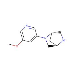 COc1cncc(N2C[C@H]3C[C@H]2CN3)c1 ZINC000253661006