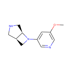 COc1cncc(N2C[C@H]3CNC[C@H]32)c1 ZINC000028865870