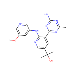 COc1cncc(Nc2ncc(C(C)(C)O)cc2-c2nc(C)nc(N)n2)c1 ZINC000113236198