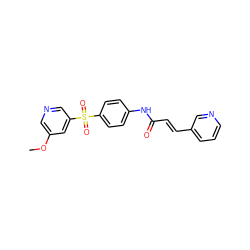 COc1cncc(S(=O)(=O)c2ccc(NC(=O)/C=C/c3cccnc3)cc2)c1 ZINC000142227624