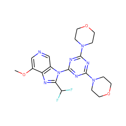 COc1cncc2c1nc(C(F)F)n2-c1nc(N2CCOCC2)nc(N2CCOCC2)n1 ZINC000073160089