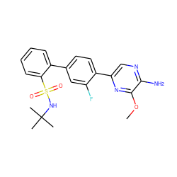 COc1nc(-c2ccc(-c3ccccc3S(=O)(=O)NC(C)(C)C)cc2F)cnc1N ZINC000224810892