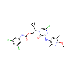 COc1nc(C)c(Nc2nc(Cl)cn([C@H](COC(=O)Nc3cc(Cl)cc(Cl)c3)C3CC3)c2=O)cc1C ZINC000117105818