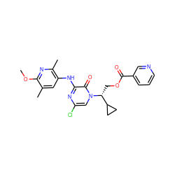 COc1nc(C)c(Nc2nc(Cl)cn([C@H](COC(=O)c3cccnc3)C3CC3)c2=O)cc1C ZINC000653852004