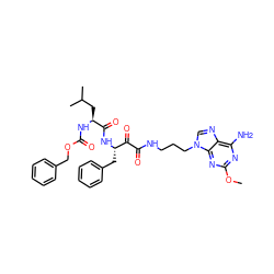 COc1nc(N)c2ncn(CCCNC(=O)C(=O)[C@H](Cc3ccccc3)NC(=O)[C@H](CC(C)C)NC(=O)OCc3ccccc3)c2n1 ZINC000072170265