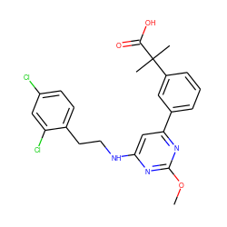 COc1nc(NCCc2ccc(Cl)cc2Cl)cc(-c2cccc(C(C)(C)C(=O)O)c2)n1 ZINC000034894481