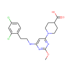 COc1nc(NCCc2ccc(Cl)cc2Cl)cc(N2CCC(C(=O)O)CC2)n1 ZINC000066104680