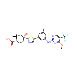 COc1nc(Nc2cc(C)cc(-c3cnc([C@@]4(O)CC[C@H](C(=O)O)C(C)(C)C4)s3)c2)ncc1C(F)(F)F ZINC000117898631