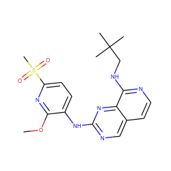 COc1nc(S(C)(=O)=O)ccc1Nc1ncc2ccnc(NCC(C)(C)C)c2n1 ZINC000207611633