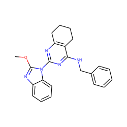 COc1nc2ccccc2n1-c1nc2c(c(NCc3ccccc3)n1)CCCC2 ZINC000208119784