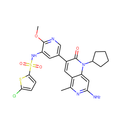 COc1ncc(-c2cc3c(C)nc(N)cc3n(C3CCCC3)c2=O)cc1NS(=O)(=O)c1ccc(Cl)s1 ZINC000103259783