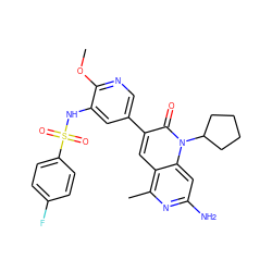 COc1ncc(-c2cc3c(C)nc(N)cc3n(C3CCCC3)c2=O)cc1NS(=O)(=O)c1ccc(F)cc1 ZINC000103259776