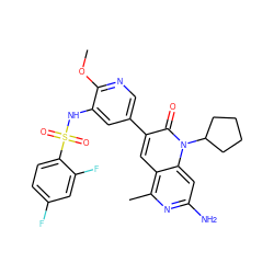 COc1ncc(-c2cc3c(C)nc(N)cc3n(C3CCCC3)c2=O)cc1NS(=O)(=O)c1ccc(F)cc1F ZINC000103260637