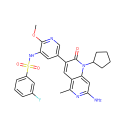 COc1ncc(-c2cc3c(C)nc(N)cc3n(C3CCCC3)c2=O)cc1NS(=O)(=O)c1cccc(F)c1 ZINC000103259779