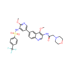 COc1ncc(-c2ccc3ncc(NC(=O)CN4CCOCC4)c(OC)c3c2)cc1NS(=O)(=O)c1ccc(C(F)(F)F)cc1 ZINC001772638430