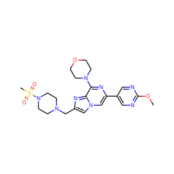 COc1ncc(-c2cn3cc(CN4CCN(S(C)(=O)=O)CC4)nc3c(N3CCOCC3)n2)cn1 ZINC000084740478