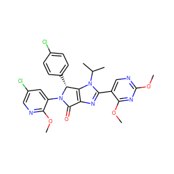 COc1ncc(-c2nc3c(n2C(C)C)[C@@H](c2ccc(Cl)cc2)N(c2cc(Cl)cnc2OC)C3=O)c(OC)n1 ZINC000169705837