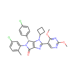COc1ncc(-c2nc3c(n2C2CCC2)[C@@H](c2ccc(Cl)cc2)N(c2cc(Cl)ccc2C)C3=O)c(OC)n1 ZINC000169705529