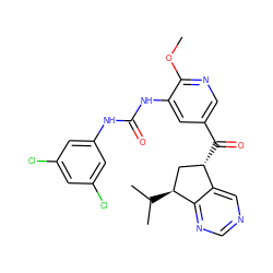 COc1ncc(C(=O)[C@H]2C[C@H](C(C)C)c3ncncc32)cc1NC(=O)Nc1cc(Cl)cc(Cl)c1 ZINC001772611317