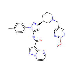 COc1ncc(CN2CCC[C@H](c3cc(NC(=O)c4cnn5cccnc45)n(-c4ccc(C)cc4)n3)C2)cn1 ZINC000145876230