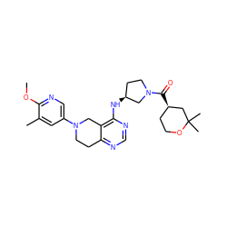 COc1ncc(N2CCc3ncnc(N[C@H]4CCN(C(=O)[C@@H]5CCOC(C)(C)C5)C4)c3C2)cc1C ZINC000113567043