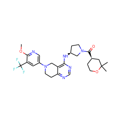 COc1ncc(N2CCc3ncnc(N[C@H]4CCN(C(=O)[C@@H]5CCOC(C)(C)C5)C4)c3C2)cc1C(F)(F)F ZINC000113752169
