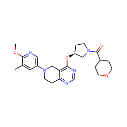 COc1ncc(N2CCc3ncnc(O[C@H]4CCN(C(=O)C5CCOCC5)C4)c3C2)cc1C ZINC000113568640