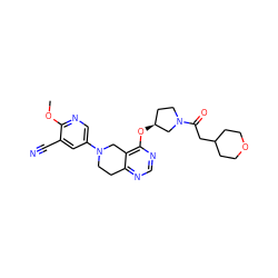 COc1ncc(N2CCc3ncnc(O[C@H]4CCN(C(=O)CC5CCOCC5)C4)c3C2)cc1C#N ZINC000113570295