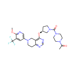 COc1ncc(N2CCc3ncnc(O[C@H]4CCN(C(=O)N5CCN(C(C)=O)CC5)C4)c3C2)cc1C(F)(F)F ZINC000113568463