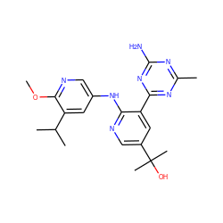 COc1ncc(Nc2ncc(C(C)(C)O)cc2-c2nc(C)nc(N)n2)cc1C(C)C ZINC000299832025