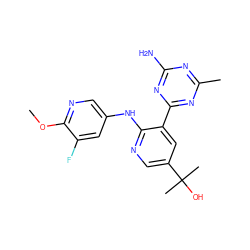 COc1ncc(Nc2ncc(C(C)(C)O)cc2-c2nc(C)nc(N)n2)cc1F ZINC000113239800