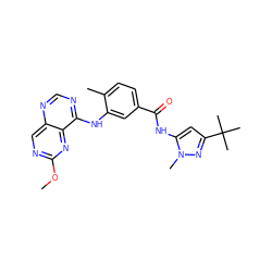 COc1ncc2ncnc(Nc3cc(C(=O)Nc4cc(C(C)(C)C)nn4C)ccc3C)c2n1 ZINC000148351845