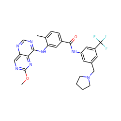 COc1ncc2ncnc(Nc3cc(C(=O)Nc4cc(CN5CCCC5)cc(C(F)(F)F)c4)ccc3C)c2n1 ZINC000148356691