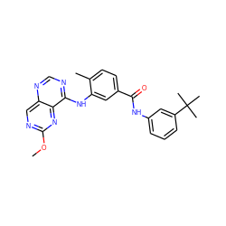 COc1ncc2ncnc(Nc3cc(C(=O)Nc4cccc(C(C)(C)C)c4)ccc3C)c2n1 ZINC000148355524