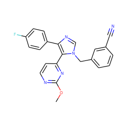 COc1nccc(-c2c(-c3ccc(F)cc3)ncn2Cc2cccc(C#N)c2)n1 ZINC000040933485