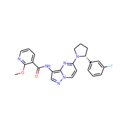 COc1ncccc1C(=O)Nc1cnn2ccc(N3CCC[C@@H]3c3cccc(F)c3)nc12 ZINC000118392995