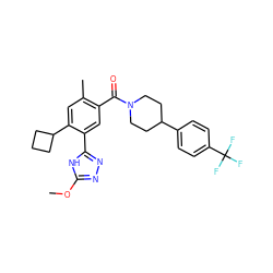 COc1nnc(-c2cc(C(=O)N3CCC(c4ccc(C(F)(F)F)cc4)CC3)c(C)cc2C2CCC2)[nH]1 ZINC000150141567