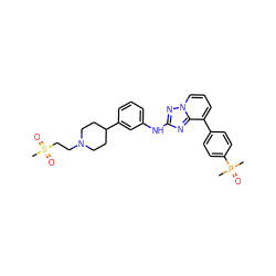 CP(C)(=O)c1ccc(-c2cccn3nc(Nc4cccc(C5CCN(CCS(C)(=O)=O)CC5)c4)nc23)cc1 ZINC000096169722